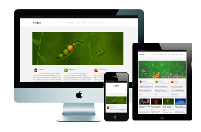 responsive-WordPress-theme-Orion