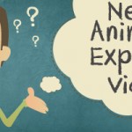 Reasons-to-use-the-Explainer-Video