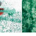 Cargillspreaderandproduct3
