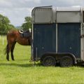 Horsebox Insurance