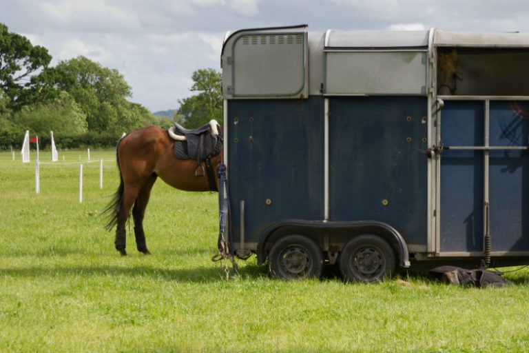 Horsebox Insurance