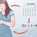 How To Decide The Baby Born Date And Gender