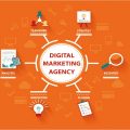 Digital Marketing Agency: How to Choose the Best for Your Business