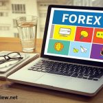 THE HOTTEST ARTICLE IN 2019