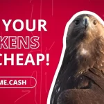 Subme-Business-Model-Details