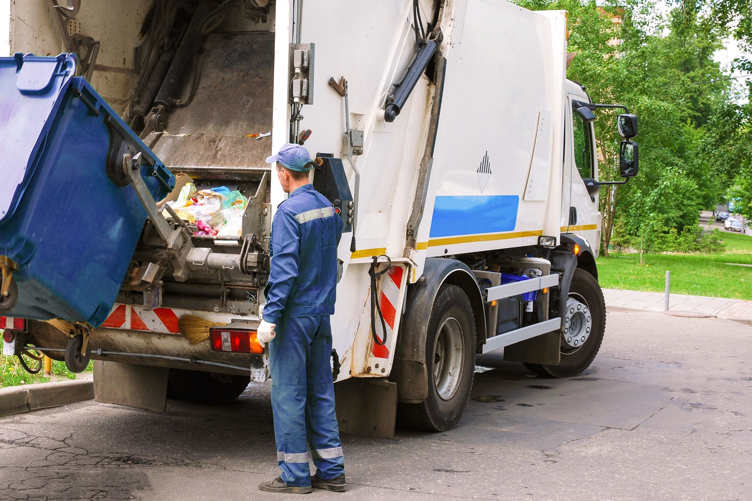 Waste Management in Developing Countries